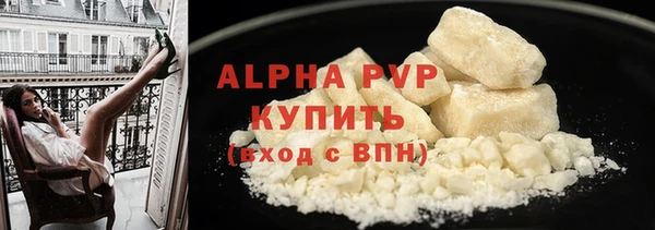 индика Заволжье