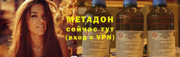 индика Заволжье