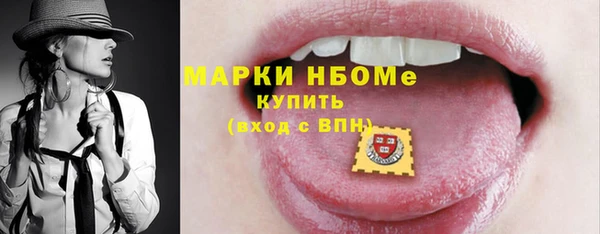 индика Заволжье