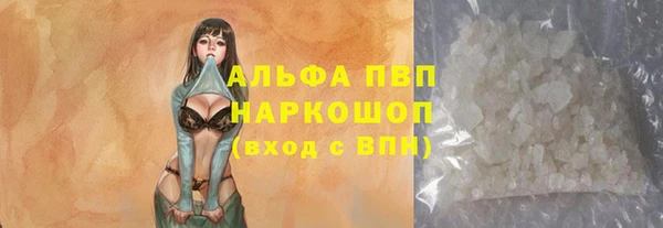индика Заволжье