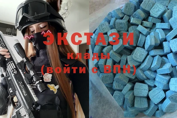 индика Заволжье