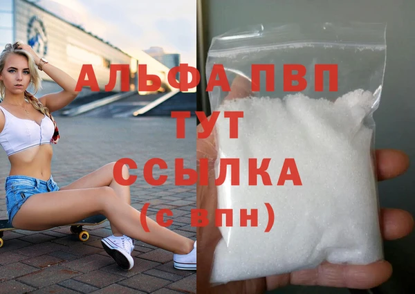 индика Заволжье