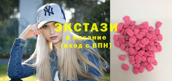 индика Заволжье