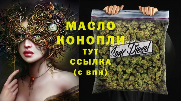 индика Заволжье
