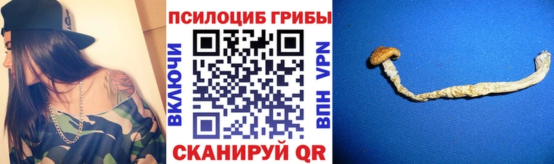 дарнет шоп Тосно Псилоцибиновые грибы прущие грибы